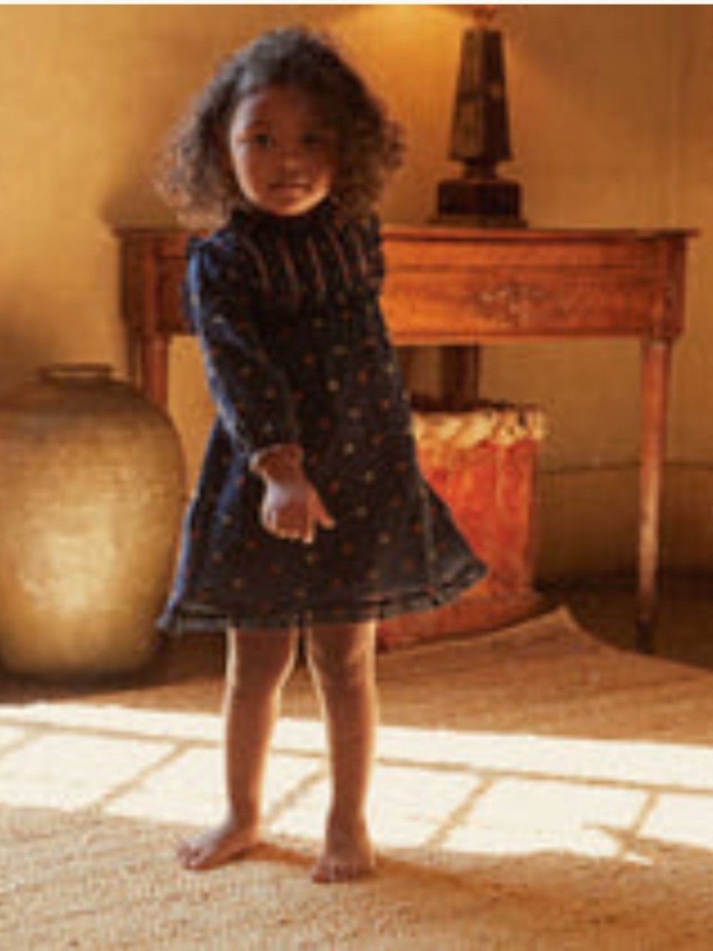 Doen LOTTIE DRESS -- NAVY CARNATION EMBROIDERY size 4